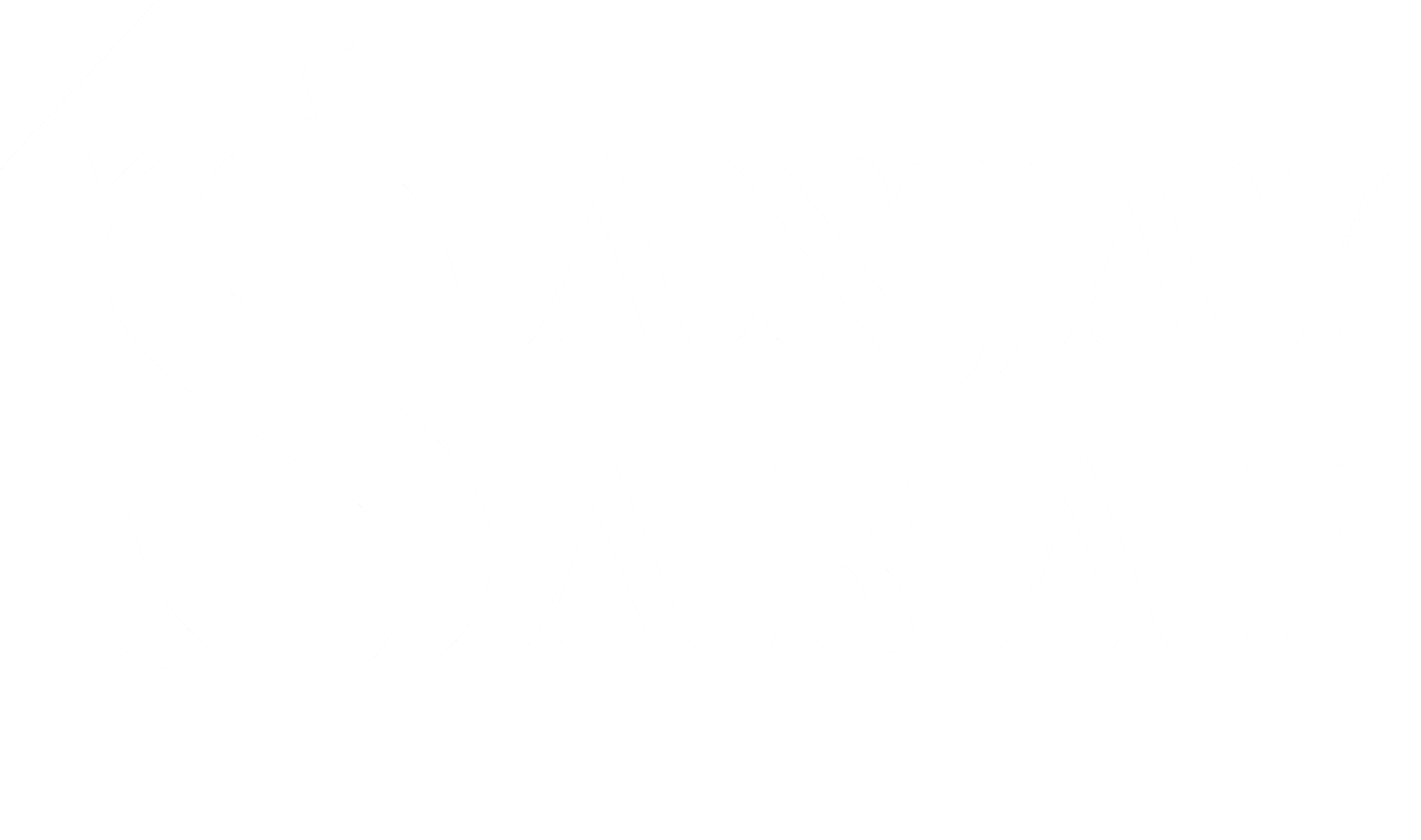 SSEI
